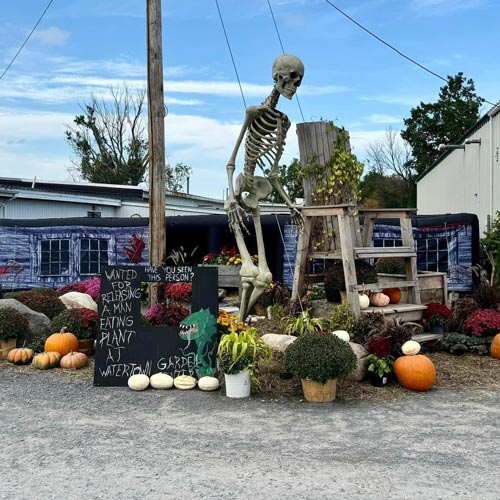 Daytime Family Thrills in Watertown, NY | North Country Nightmares Haunted Attractions
