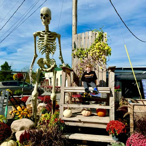 Family Friendly Hayride in Watertown, NY | North Country Nightmares Haunted Attractions
