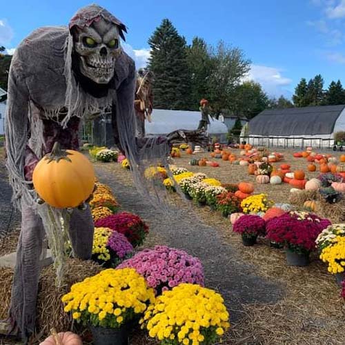 Family Friendly Maze in Watertown, NY | North Country Nightmares Haunted Attractions